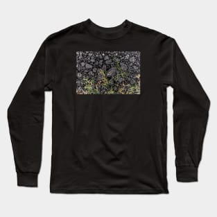 Green Grass Growing On Black Stones Long Sleeve T-Shirt